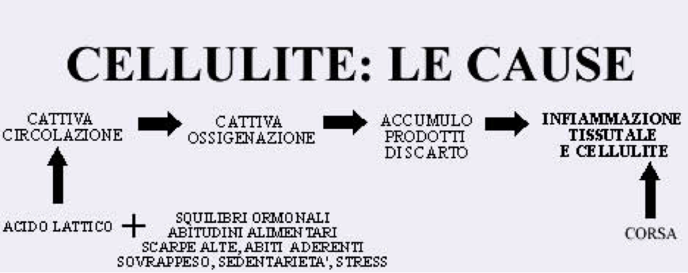 Descrizione: ellulite cause